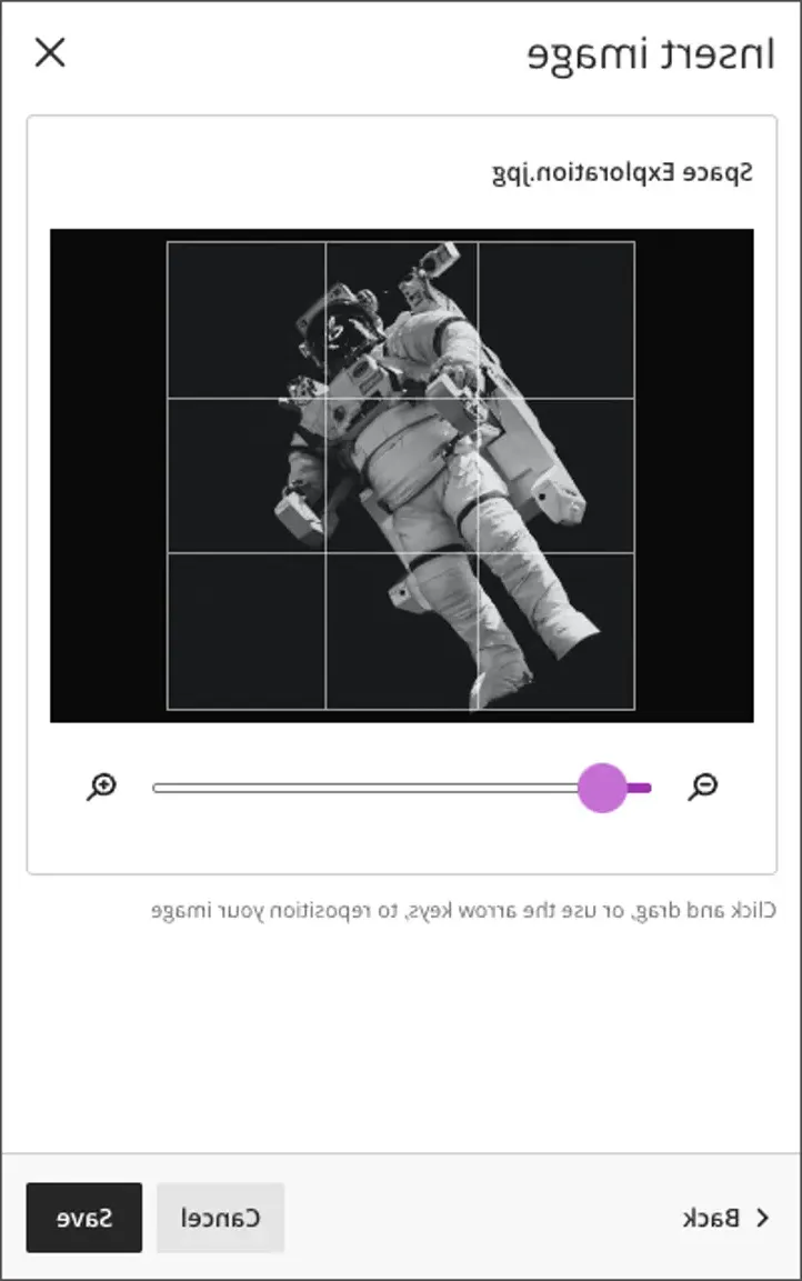 This screenshot shows the desired image with an adjustable grid for modifying the image.